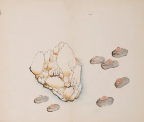 Página de Shi Zhu Zhai