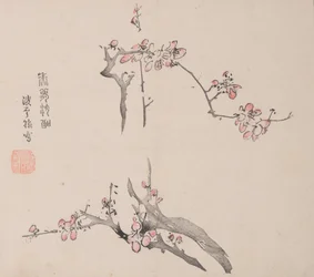 Página de Shi Zhu Zhai