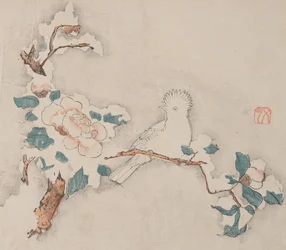 Página de Shi Zhu Zhai