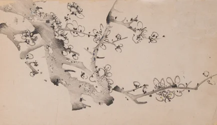Página de Shi Zhu Zhai