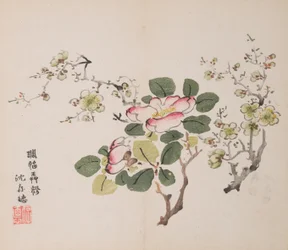 Página de Shi Zhu Zhai