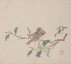 Página de Shi Zhu Zhai