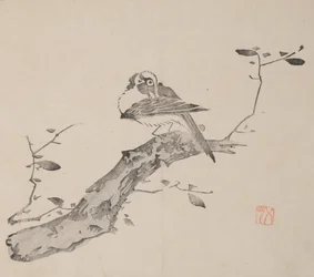 Página de Shi Zhu Zhai