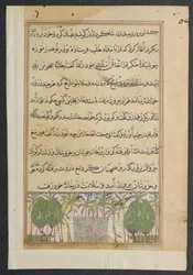 Página de Cuentos de un loro Tuti-nama: Octava noche: Paisaje con un estanque de lotos, c. 1560