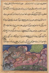 Página de Cuentos de un Loro Tuti-nama: Decimoquinta noche: El lobo aconseja al león..., 1558-1560