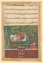 Página de Cuentos de un loro Tuti-nama: Quincuagésima primera noche: Khulasa, un visir, ve..., c1560