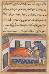 Página de Cuentos de un Loro Tuti-nama: Cuadragésima noche: El esposo de Shahr-Arai..., c. 1560