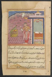 Página de Cuentos de un Loro Tuti-nama: Cuarenta y cuatro noche: El loro se dirige..., c. 1560