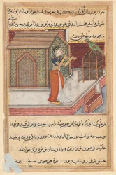 Página de Cuentos de un loro Tuti-nama: Cuadragésima novena noche: El loro se dirige a Khujasta..., c1560