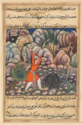 Página de Cuentos de un loro Tuti-nama: Cuadragésima séptima noche: El cuarto hombre cava..., c. 1560