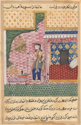 Página de Cuentos de un loro Tuti-nama: Decimoséptima noche: El loro..., c. 1560