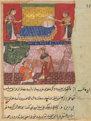 Página de Cuentos de un loro Tuti-nama: Decimosexta noche: La nuera del rey, c. 1560