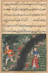 Página de Cuentos de un loro Tuti-nama: Decimosexta noche: El vagabundo cruza..., c. 1560