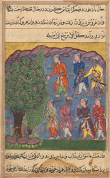 Página de Cuentos de un loro Tuti-nama: Sexta noche: Siete hombres disputando la posesión..., c. 1560