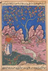 Página de Cuentos de un loro Tuti-nama: Trigésima noche: La mujer conversando..., c. 1560