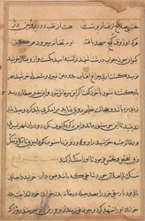 Página de Cuentos de un loro Tuti-nama: página de texto, c. 1560