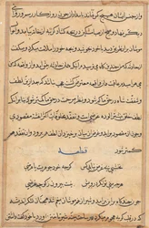 Página de Cuentos de un Loro Tuti-nama: página de texto, c. 1560