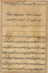 Página de Cuentos de un loro Tuti-nama: página de texto, c. 1560