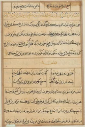 Página de Cuentos de un loro Tuti-nama: página de texto, c. 1560