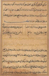 Página de Cuentos de un loro Tuti-nama: página de texto, c. 1560
