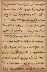 Página de Cuentos de un loro Tuti-nama: página de texto, c. 1560