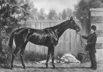 Paradoja, 1882-1890, 1911