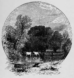 Paz y abundancia, 1883