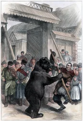 Oso actuando en un pueblo ruso, 1877