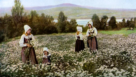 Recogiendo flores en un prado cerca de Leksand, Suecia