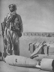 Pintoresco Guardián de la Frontera de Irak