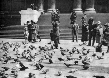 Palomas en Trafalgar Square, Londres, 1926-1927