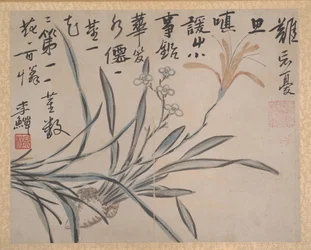 Plantas y vegetales, fechado 1740