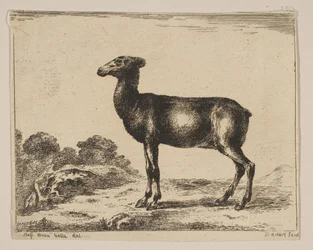 Placa 15: cierva, de Diversos animales, después de 1641