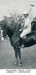 Jugando polo para Lords v Commons, c1930 1937