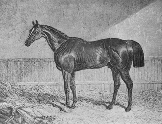 Plenipotenciario, 1831-1854, 1911