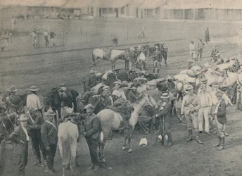 Caballo de Plumer, c1900
