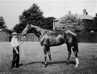 Estrella Polar, 1911