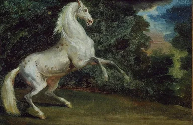 Caballo encabritado, 1808-1812