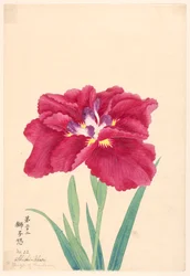 Impresión, La ira del león (Shishi-Ikari), No. 22
