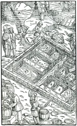 Producción de sal por evaporación de agua de mar en salinas, 1556