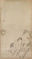 Cachorros, gorriones y crisantemos, 1754-1799