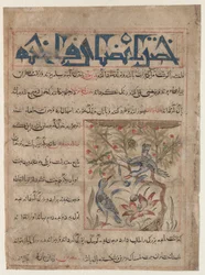 Cualidades de las tórtolas (recto), Sobre los beneficios de las codornices (verso), c. 1300