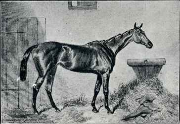 Reina Berta, siglo XIX, 1911