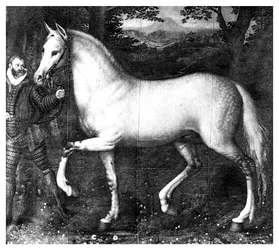 El caballo de la Reina Isabel I, 1896