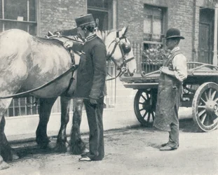 Inspector de la RSPCA Examinando un Caballo, c1903