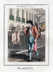 Conejos, Portland Place, Londres, 1805