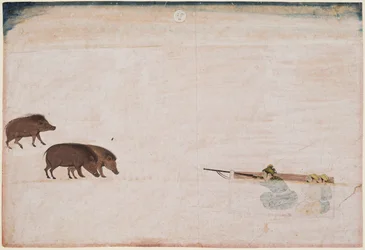 Raja Ram Chand de Amber cazando jabalíes, c. 1670