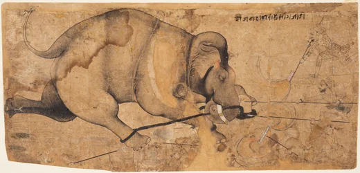 El elefante de Rao Ram Singh se vuelve loco