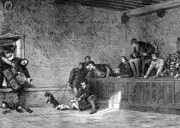 Lucha de ratas, recreación de Luis XI de Francia, 1461-1483 1882-1884