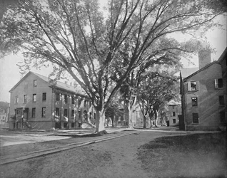 Sala de lectura y tesorería, Yale College, New Haven, Conn., c1897